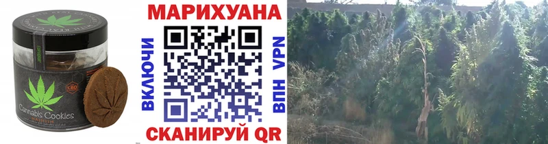 купить наркотики сайты  Талдом  Печенье с ТГК конопля 