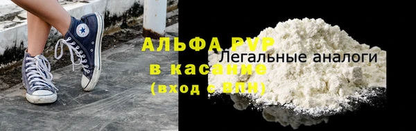 СК Алзамай